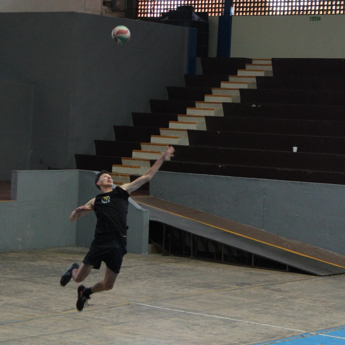 Halcones Tepabril 11