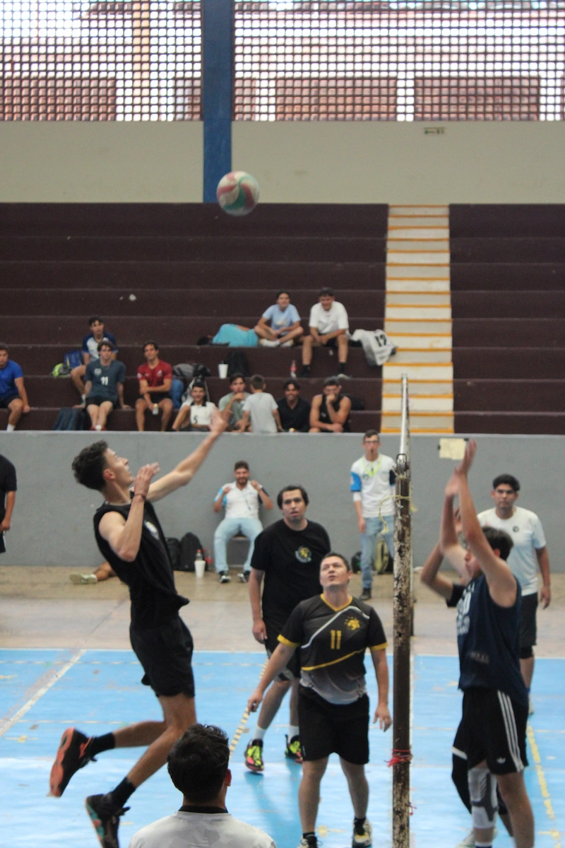 Halcones Tepabril 2