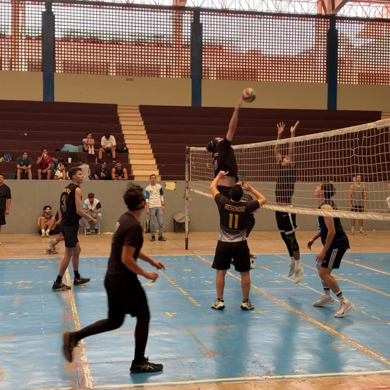 Halcones Tepabril 7