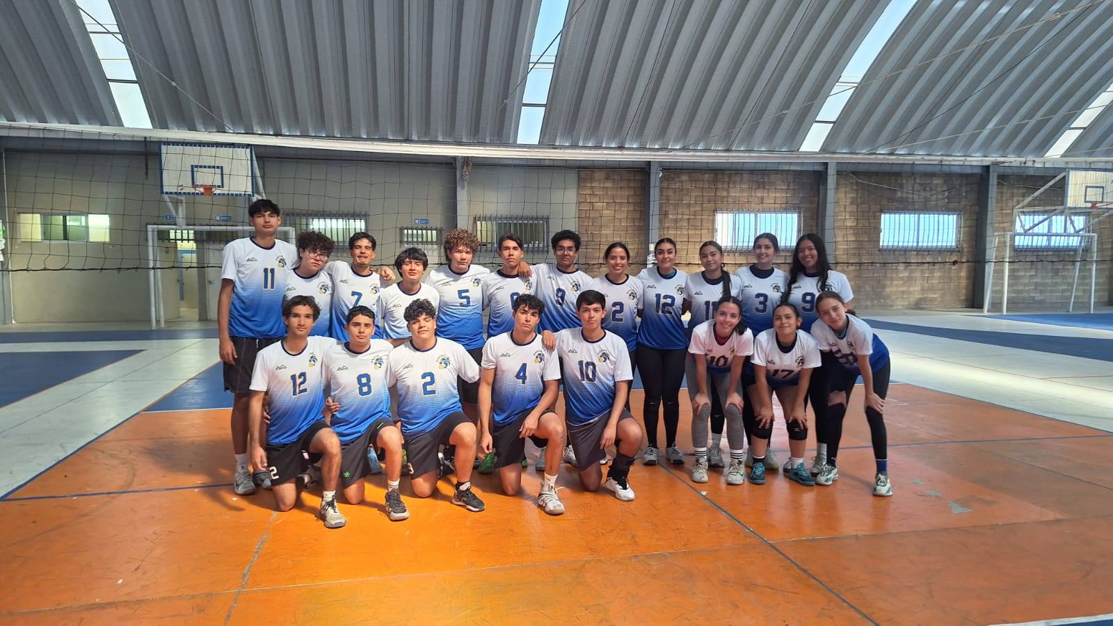 Torneo Gatos Hero Complete